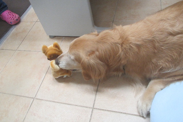 ファイル 3599-5.jpg