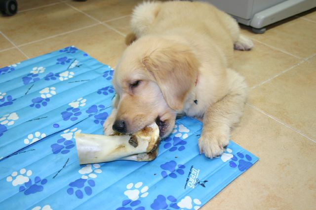 ファイル 36-1.jpg