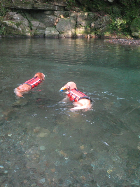 ファイル 360-1.jpg