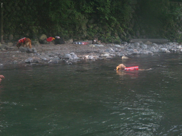 ファイル 360-3.jpg