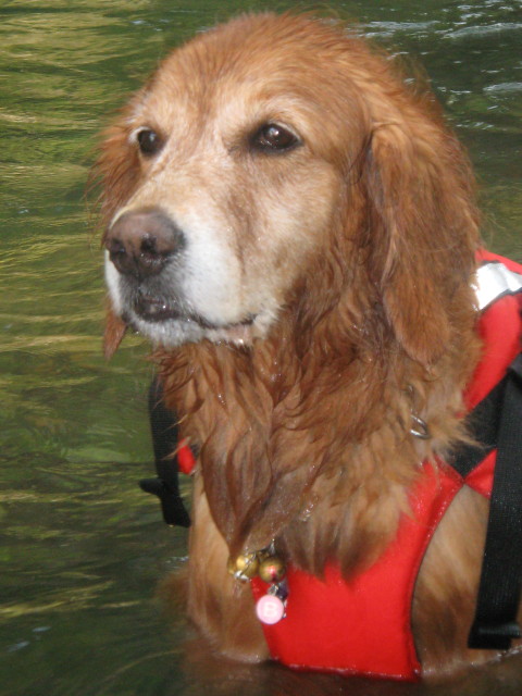 ファイル 360-5.jpg