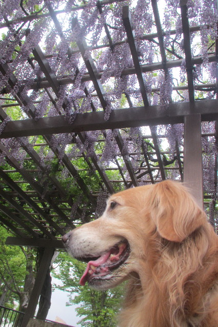 ファイル 3602-3.jpg