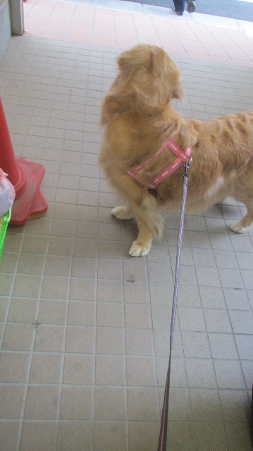 ファイル 3607-2.jpg