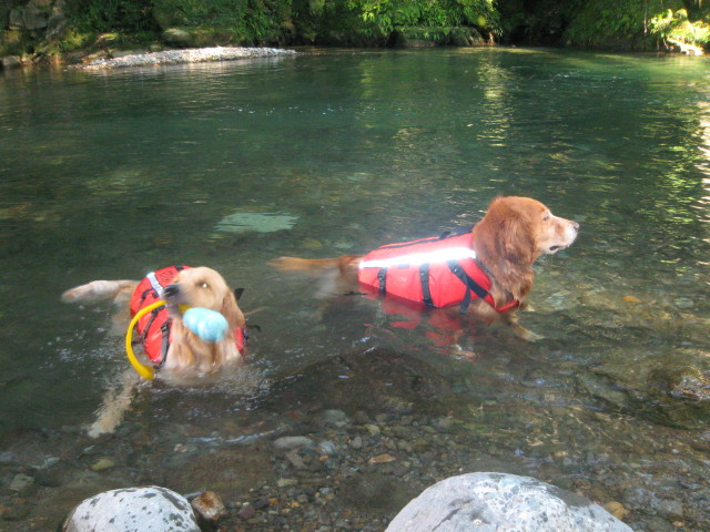 ファイル 362-2.jpg