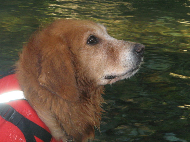 ファイル 362-5.jpg