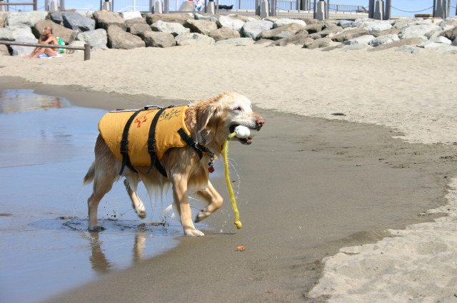 ファイル 363-3.jpg