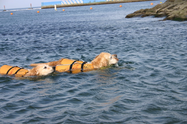 ファイル 364-1.jpg