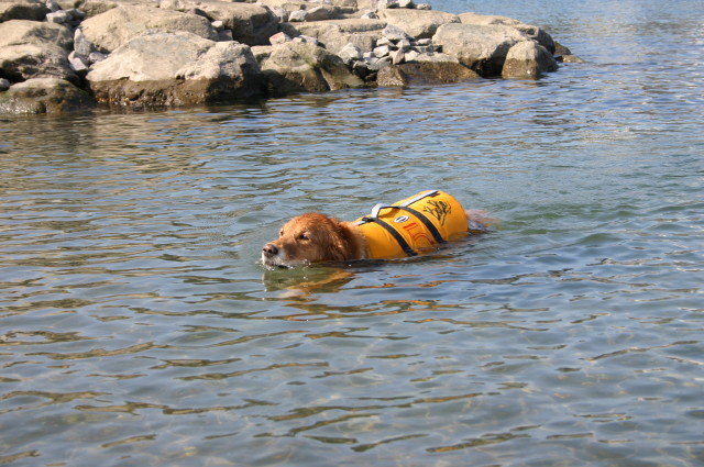 ファイル 364-5.jpg