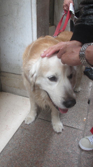 ファイル 3641-4.jpg