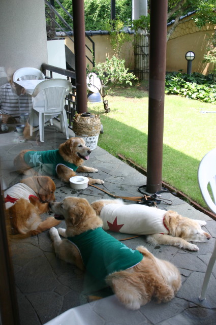 ファイル 365-1.jpg