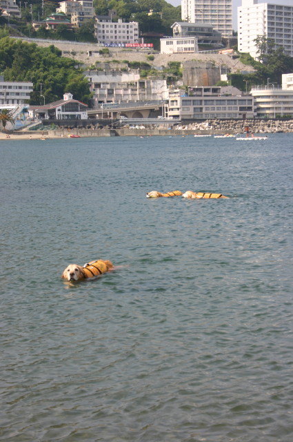 ファイル 365-4.jpg