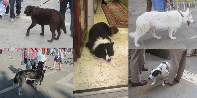 ファイル 3650-5.jpg