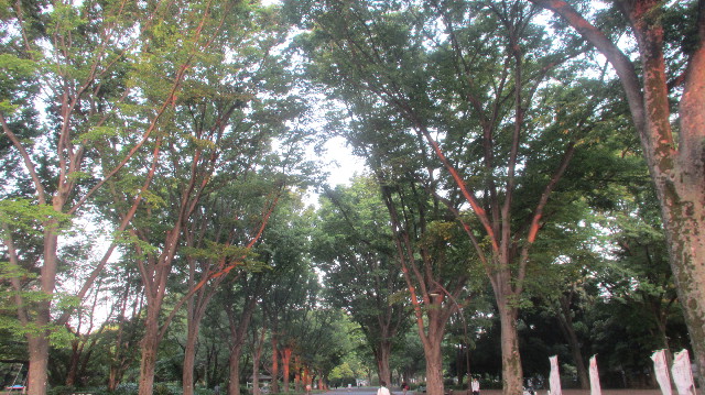 ファイル 3656-4.jpg