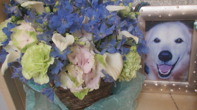 ファイル 3657-2.jpg