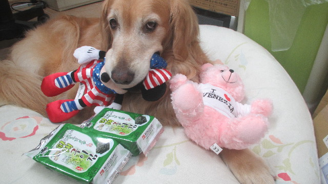 ファイル 3657-5.jpg