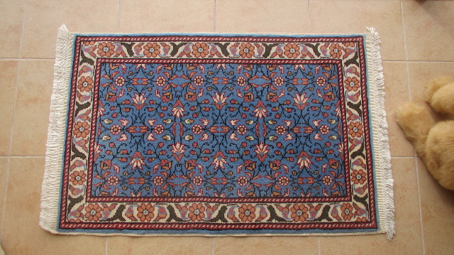 ファイル 3659-1.jpg