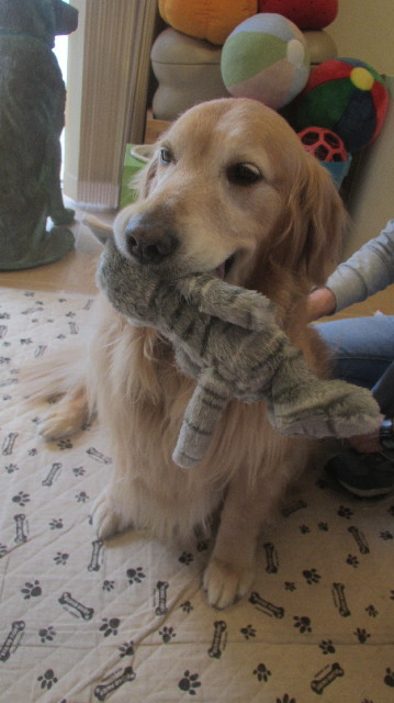 ファイル 3659-3.jpg