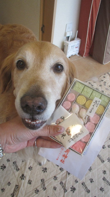 ファイル 3659-4.jpg