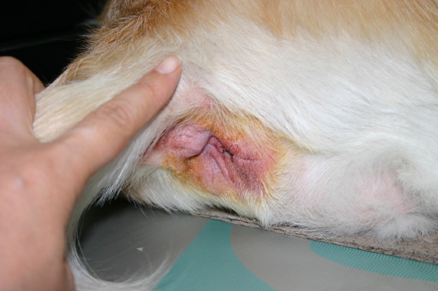 ファイル 366-3.jpg