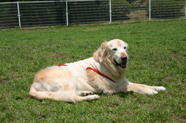 ファイル 366-5.jpg