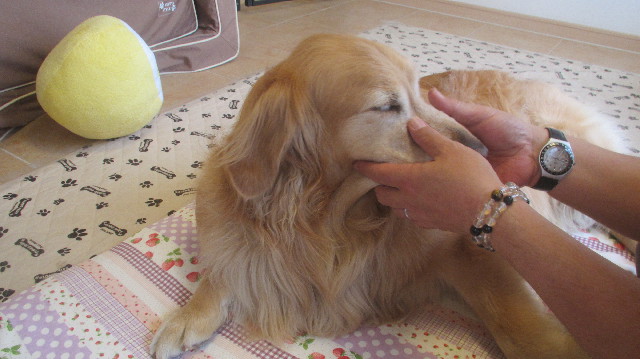 ファイル 3660-2.jpg