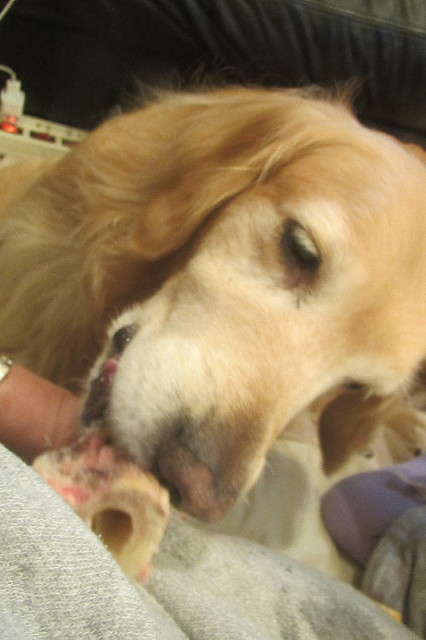 ファイル 3661-3.jpg