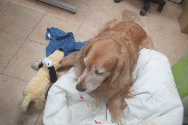 ファイル 3661-4.jpg