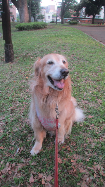 ファイル 3663-1.jpg