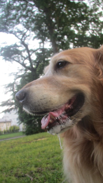 ファイル 3663-3.jpg