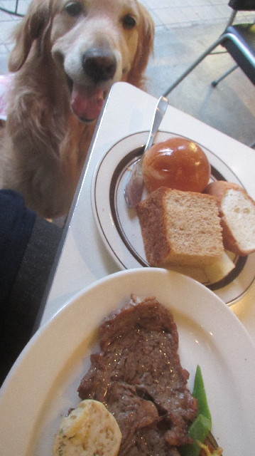 ファイル 3663-5.jpg