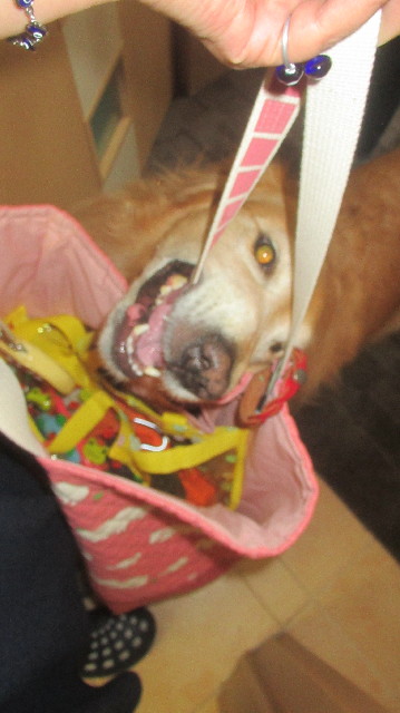 ファイル 3664-5.jpg