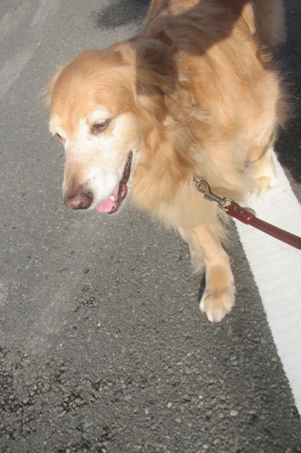 ファイル 3667-3.jpg