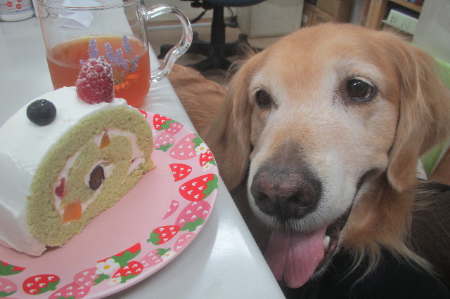 ファイル 3667-4.jpg