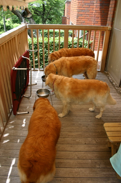 ファイル 367-5.jpg