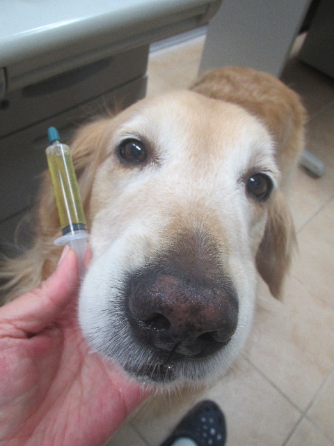 ファイル 3670-1.jpg