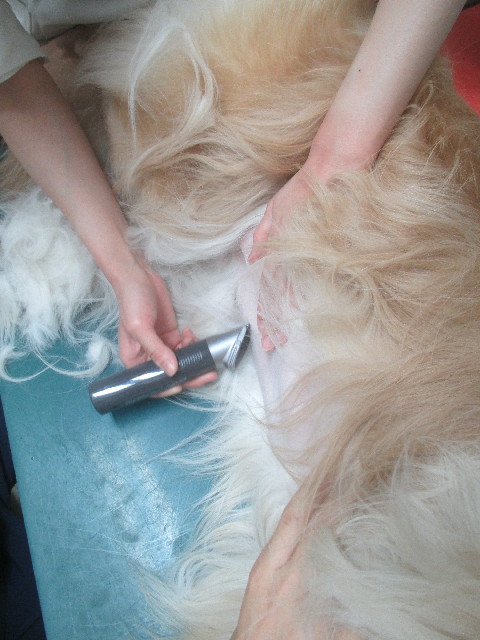 ファイル 3670-2.jpg