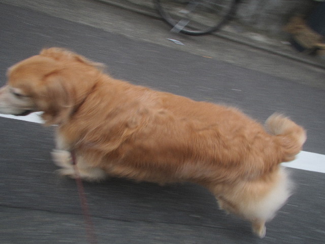 ファイル 3670-3.jpg