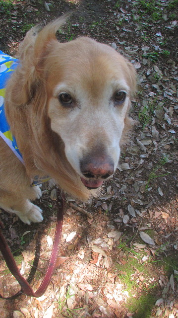 ファイル 3671-5.jpg