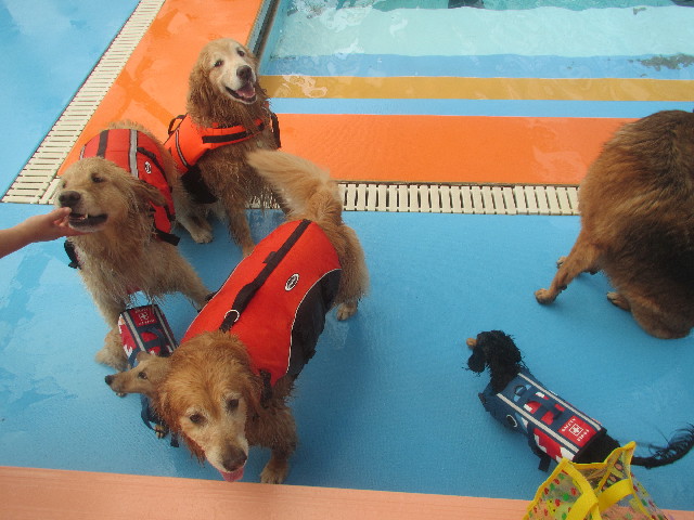 ファイル 3673-1.jpg