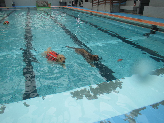 ファイル 3674-1.jpg