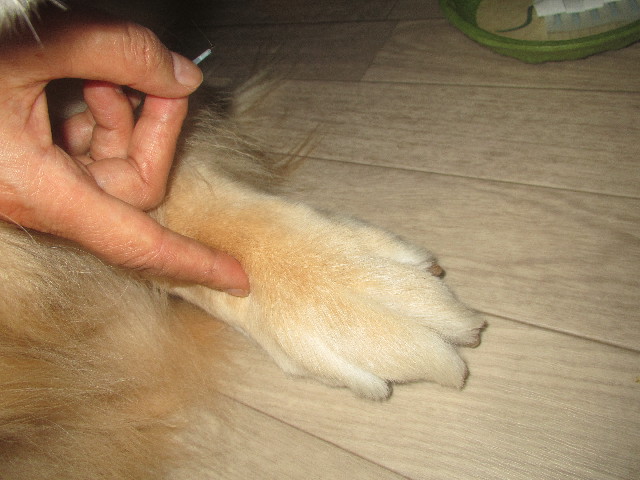 ファイル 3677-4.jpg