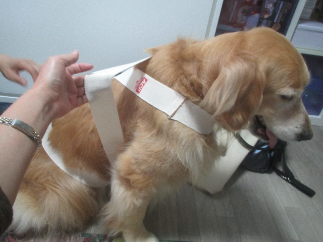 ファイル 3677-5.jpg