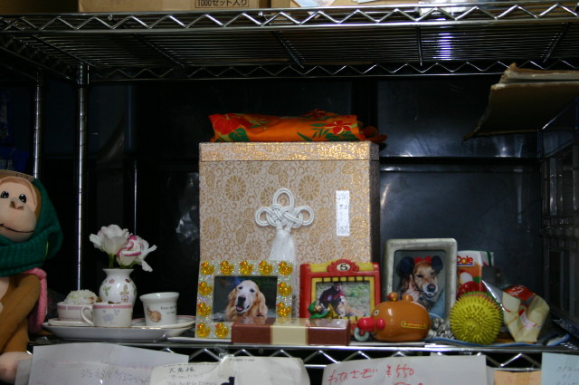 ファイル 368-2.jpg