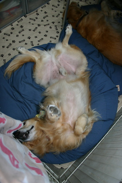 ファイル 368-5.jpg