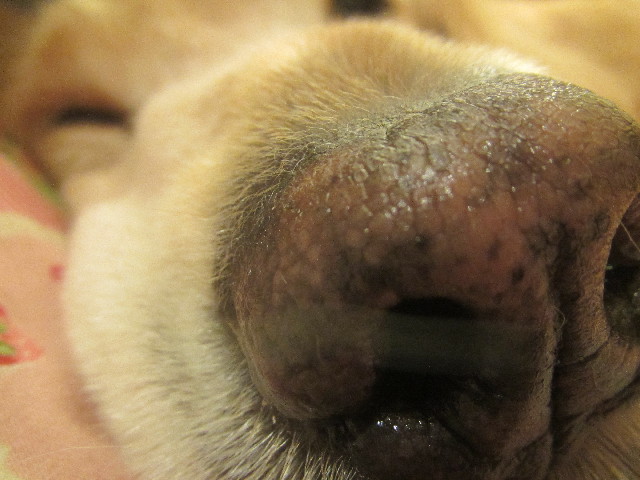 ファイル 3680-1.jpg