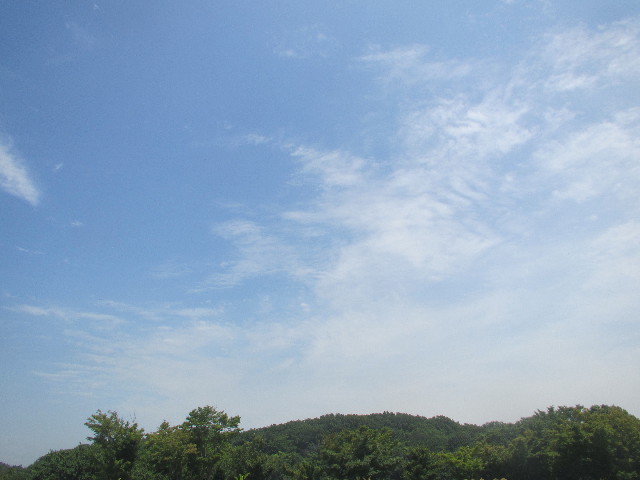 ファイル 3684-1.jpg