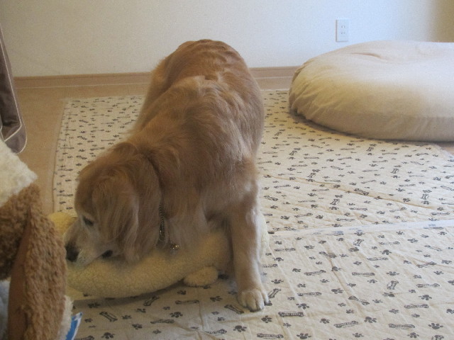 ファイル 3684-5.jpg