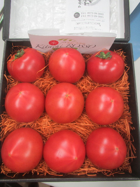 ファイル 3689-1.jpg