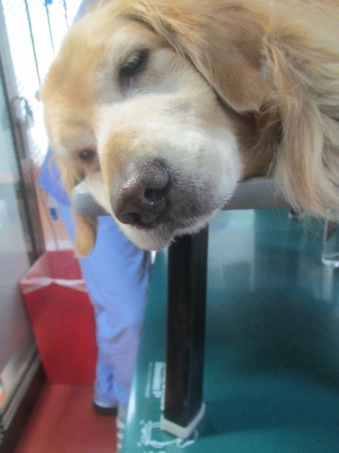 ファイル 3691-2.jpg