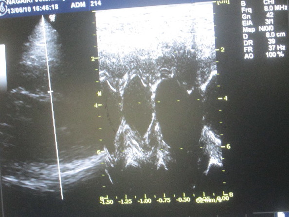 ファイル 3691-3.jpg